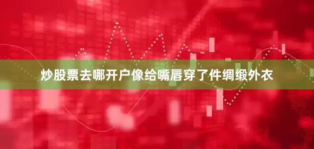 炒股票去哪开户像给嘴唇穿了件绸缎外衣