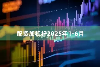 配资加杠杆　　2025年1-6月