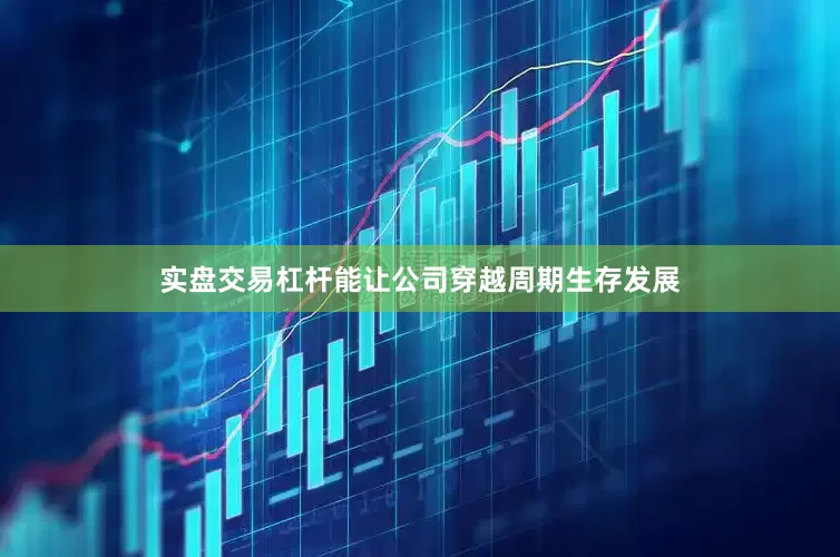 实盘交易杠杆能让公司穿越周期生存发展
